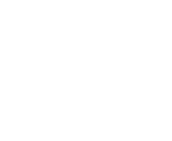 Idea Zone Logo